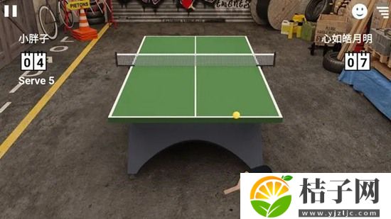 虚拟乒乓球下载安装官方版截图