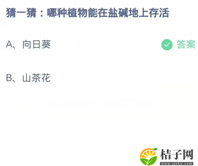 蚂蚁庄园今日答案11.5-2023最新蚂蚁庄园小鸡11.5今日答案